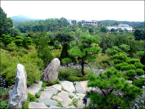 3만평 규모의 수목원에서 다양한 나무들이 여행객을 반겨줍니다. 